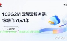 国内VPS哪家强？全面解析速度、稳定性与安全性，精选推荐上榜企业！