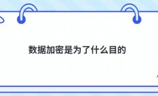 数据加密是为了什么目的