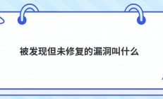 被发现但未修复的漏洞叫什么