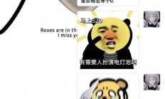 揭秘数字背后的故事，探寻502背后的含义与传奇