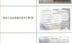行驶证识别技术大揭秘，车辆身份快速准确验证！