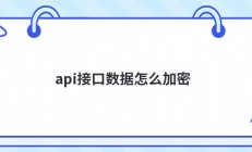 api接口数据怎么加密