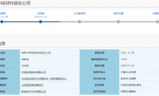 有研半导体IPO已获上交所问询，上市之路近在咫尺