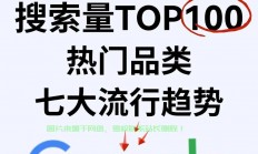 谷歌团队VPS 2018实践探索，技术前沿与创新突破揭秘