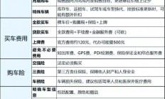 深度解析，汽车VPS收费背后的真相揭秘！