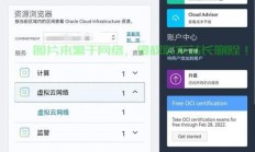 甲骨文VPS携手Netflix揭秘，云端盛宴背后的独家合作解密
