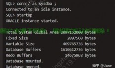 Linux命令启动Oracle数据库，从安装到管理的完整教程，如何在Linux上轻松启动并管理Oracle数据库？，如何在Linux上轻松启动并管理Oracle数据库？