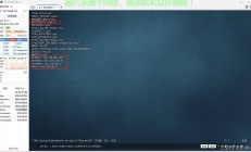 个人VPS服务构建全攻略，固定IP打造秘籍揭秘