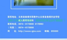揭秘曲靖农校机房建造地点，专业计算机教育的心脏地带探秘！