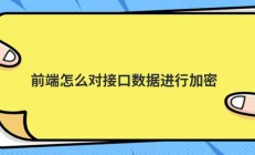 前端怎么对接口数据进行加密
