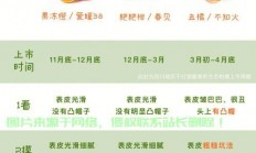 怎么看橘子服务器名称?