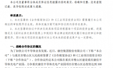 总投资300亿 康佳集团拟建重庆半导体光电产业园
