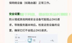 iphone怎么找到dns服务器?