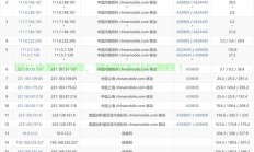 探索极速网络世界，20Mbps带宽VPS的无限潜力与惊喜