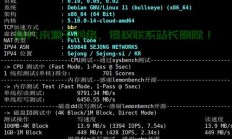 VPS带宽实时监控，一窥网络速度，轻松掌握网络状况！