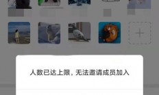 QQ群人数大揭秘，群规模与成员数量全攻略！