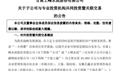 2亿元参设基金 上峰水泥继晶合集成后再投粤芯半导体