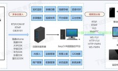 VPS的单双向流量深度解析，洞悉单向与双向流量的不同