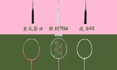 VPS 66N粉色版独家解析，独特魅力与优势揭秘