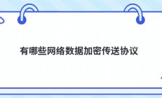 有哪些网络数据加密传送协议