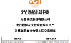 200亿半导体相关独角兽企业或被“收编”？