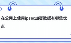 在公网上使用ipsec加密数据有哪些优点