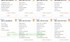 VPS必备视频通话功能解析，需求与优势探讨