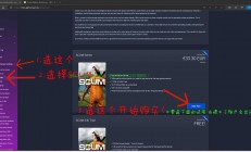 玩scum怎么选服务器?