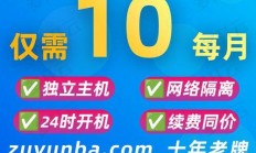 揭秘高效、稳定、便捷的国外挂机宝VPS网络工具，引领新时代选择！