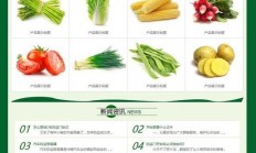 揭秘蔬菜网站源码，轻松开启绿色蔬菜电商之旅！