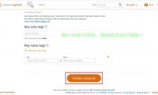 亚马逊VPS快速搭建秘籍，轻松上手，一键极速开启！