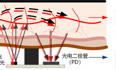 一文快速了解血氧监测背后的传感器“奥秘”