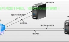DNA服务器是怎么服务的?