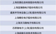 近30家，上海硬核半导体厂商名单公布