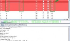 揭秘SQL注入漏洞，防范网络攻击风险的策略与应对之道