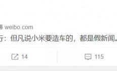 小米比亚迪联合造车？回应来了
