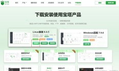 VPS网站快速搭建教程，轻松开启你的在线空间之旅！
