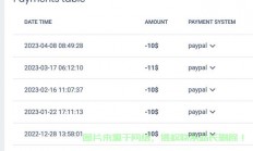 VPS收益最大化秘籍，挂设策略与赚钱技巧全解析！