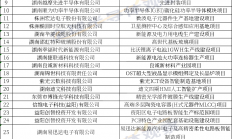 总投资1228亿元，湖南发布电子信息制造业50个重点项目
