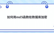 如何用md5函数给数据库加密