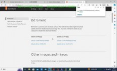Windows连接Linux VPS操作指南，实用技巧助你轻松上手