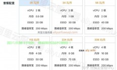 VPS循环出账折扣全攻略，省钱秘籍与操作指南