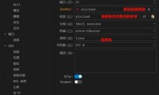 怎么连上公司服务器上?