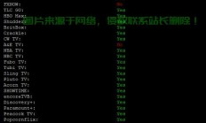 美国极速VPS连接，极速畅享，网络新纪元体验！