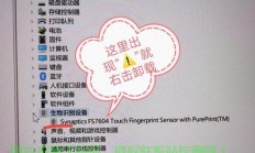 惠普win10更新最新动态解析及关键要点揭秘