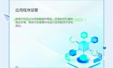 SS VPS性能飞跃，速度优化全攻略，畅享极速体验