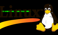 VPS挂QQ，CentOS 6实战操作指南