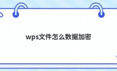 wps文件怎么数据加密