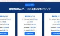 揭秘性价比之王的VPS，超值实惠之选！