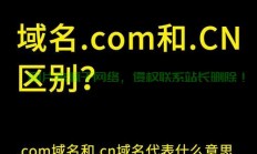 新域名揭秘，一网打尽，不容错过！